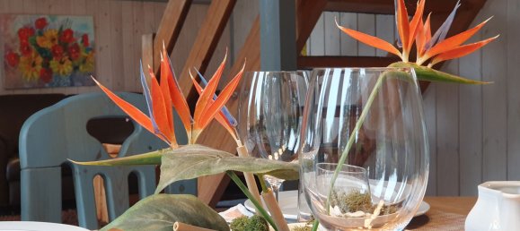 3 bedrooms House in Mecklenburgische Seenplatte, Germany No. 217926 14