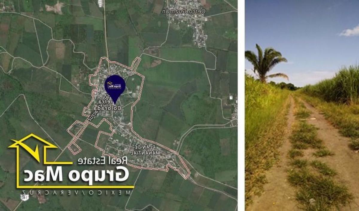 Terrain à Veracruz, Mexico No. 205494