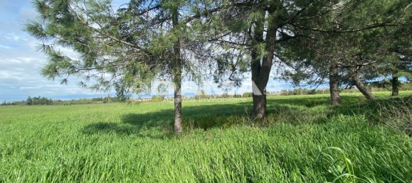 5 غرف نوم منزل في Forlì, Italy رقم 69477 40