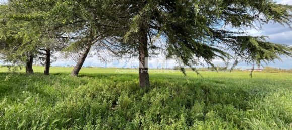 5 غرف نوم منزل في Forlì, Italy رقم 69477 38