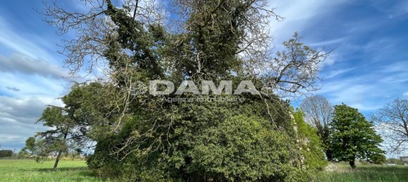 5 غرف نوم منزل في Forlì, Italy رقم 69477 31