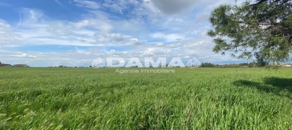 5 غرف نوم منزل في Forlì, Italy رقم 69477 37