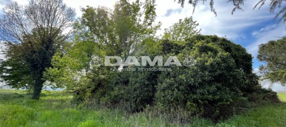 5 غرف نوم منزل في Forlì, Italy رقم 69477 28