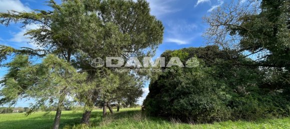 5 غرف نوم منزل في Forlì, Italy رقم 69477 25