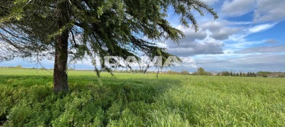 5 غرف نوم منزل في Forlì, Italy رقم 69477 33