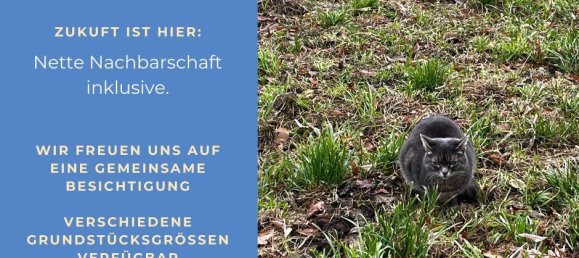 Terreno em St. Pantaleon, Austria 3807 m² N.º 221766 4