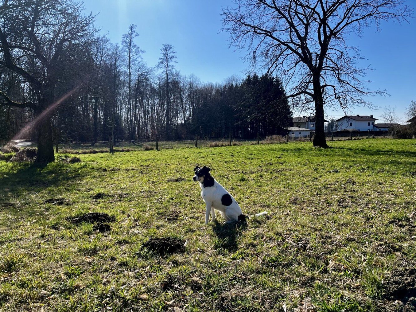 Terreno em St. Pantaleon, Austria 3807 m² N.º 221766