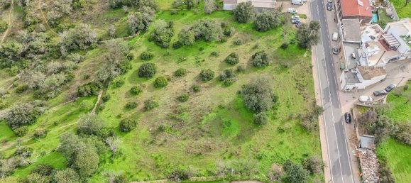 450m² Land in Loule, Portugal No. 130727 6