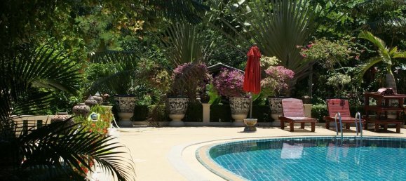  Hotel in Kathu, Thailand No. 64104 16