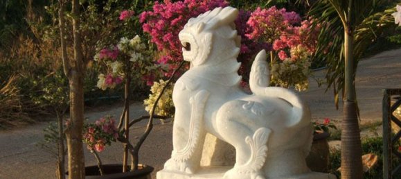  Hotel in Kathu, Thailand No. 64104 9