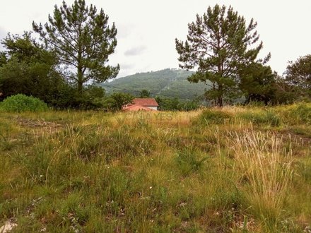 649m² Land in Viana do Castelo, Portugal No. 59150