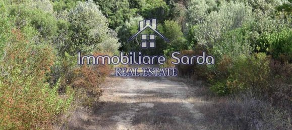 Grundstück in Arzachena, Italy 590000m², Nr. 231225 37