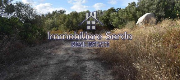 Grundstück in Arzachena, Italy 590000m², Nr. 231225 11