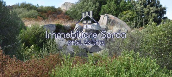 Grundstück in Arzachena, Italy 590000m², Nr. 231225 44