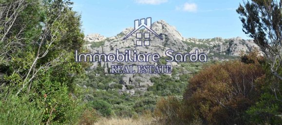 Grundstück in Arzachena, Italy 590000m², Nr. 231225 38