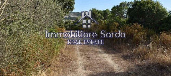 Grundstück in Arzachena, Italy 590000m², Nr. 231225 28