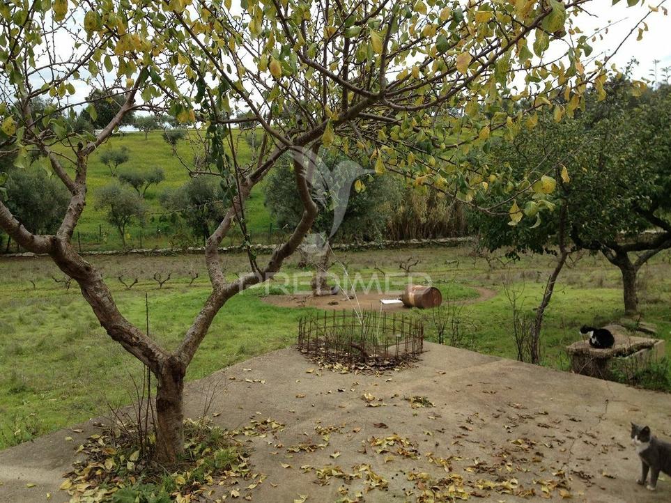 Casa T2 em Avis, Portugal N.º 315454