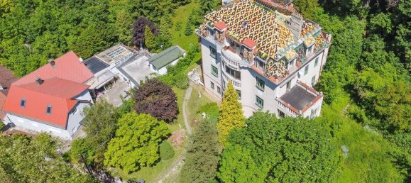 26-Zimmer Villa in Klosterneuburg, Austria, Nr. 12093 2