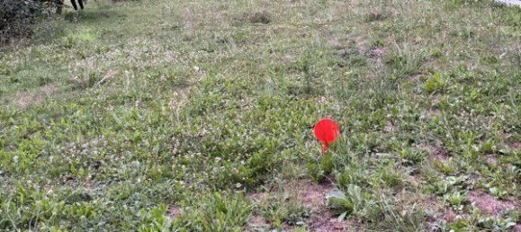 Grundstück in Loire-Atlantique, France, Nr. 291531 2