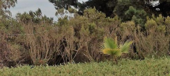 Terreno en Valparaíso, Chile No. 1233 2