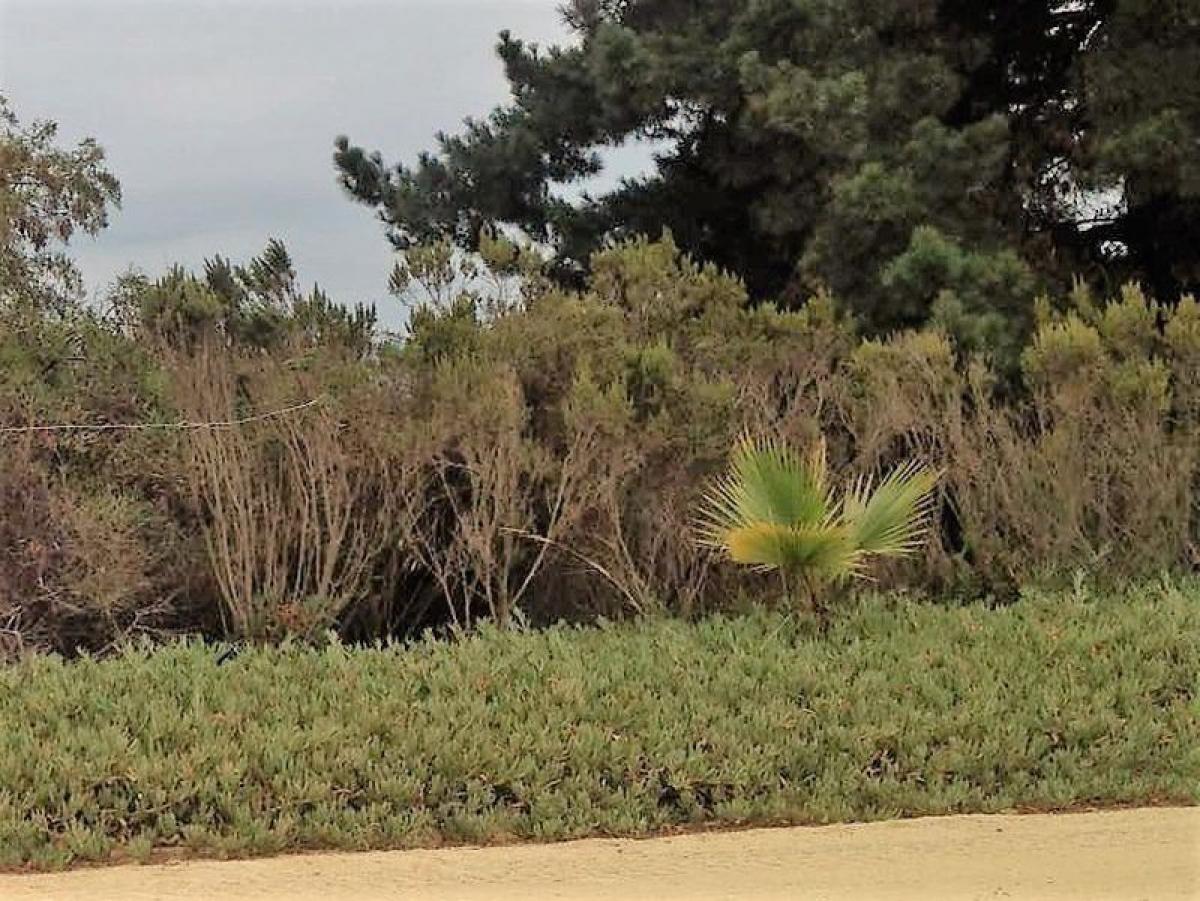 Terreno en Valparaíso, Chile No. 1233