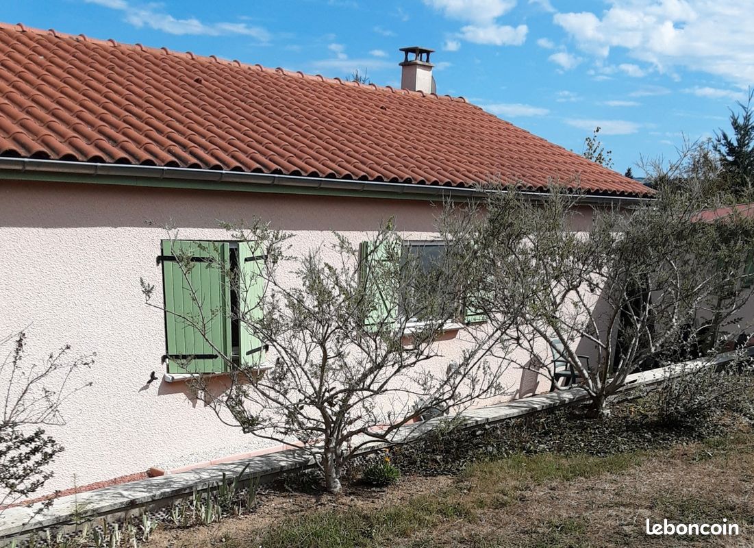 4 Schlafzimmer Haus in Neulise, France, Nr. 335308