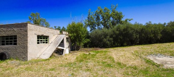 4 bedrooms House in Alba Adriatica, Italy No. 315497 5