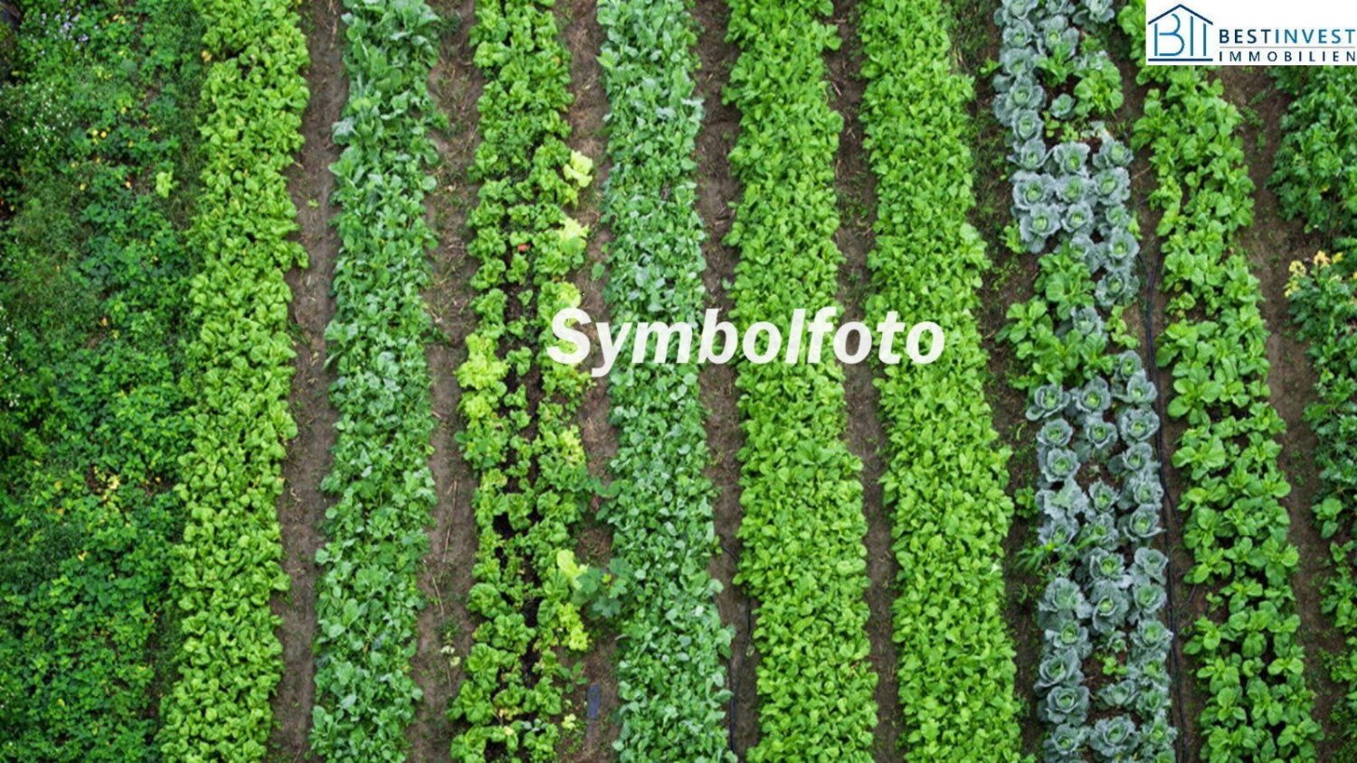 Grundstück in Gleisdorf, Austria, Nr. 132242