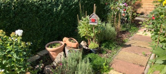 Grundstück in Teltow-Fläming, Germany, Nr. 335013 4