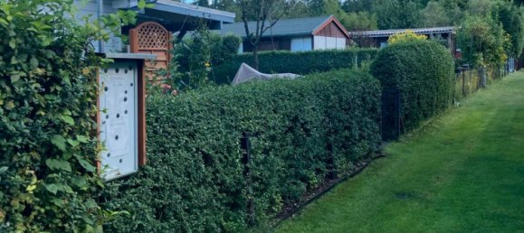 Grundstück in Teltow-Fläming, Germany, Nr. 335013 19