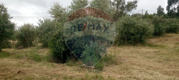 Grundstück in Alvaiazere, Portugal 4518m², Nr. 77407 2