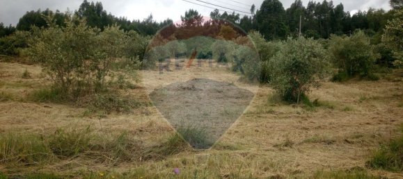 Grundstück in Alvaiazere, Portugal 4518m², Nr. 77407 10