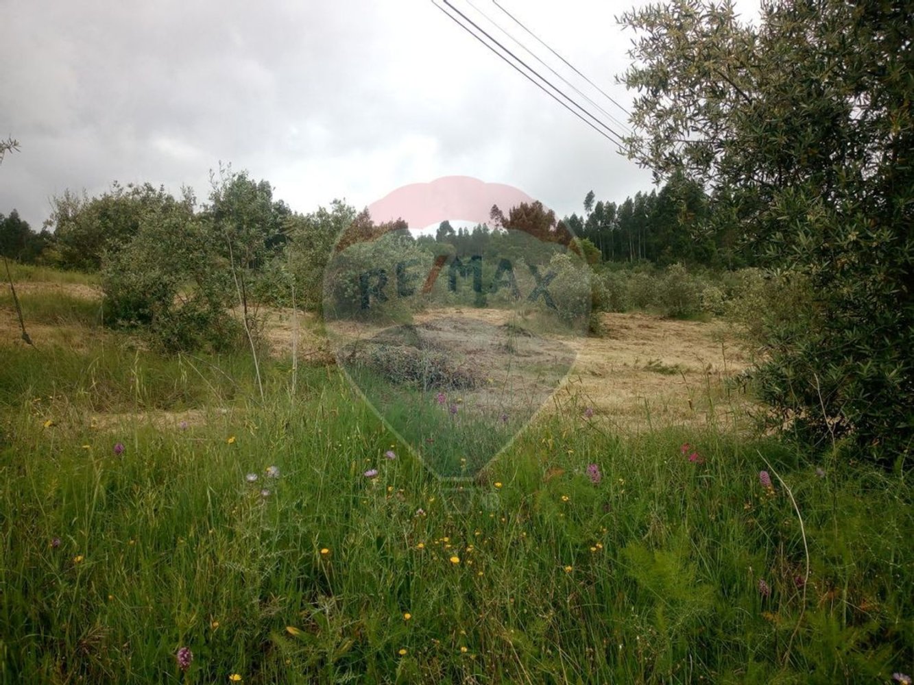 Grundstück in Alvaiazere, Portugal 4518m², Nr. 77407