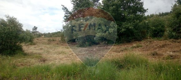 Grundstück in Alvaiazere, Portugal 4518m², Nr. 77407 3