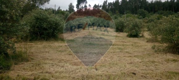 Grundstück in Alvaiazere, Portugal 4518m², Nr. 77407 4