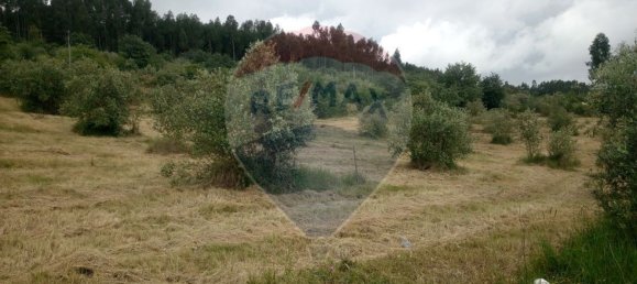 Grundstück in Alvaiazere, Portugal 4518m², Nr. 77407 9