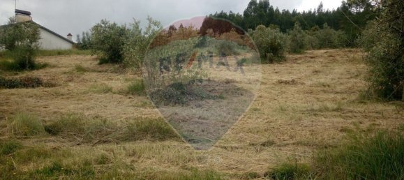 Grundstück in Alvaiazere, Portugal 4518m², Nr. 77407 5