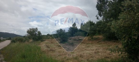 Grundstück in Alvaiazere, Portugal 4518m², Nr. 77407 6