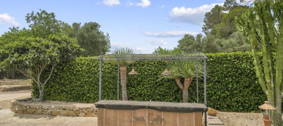 4 bedrooms House in Petra, Spain No. 156775 20