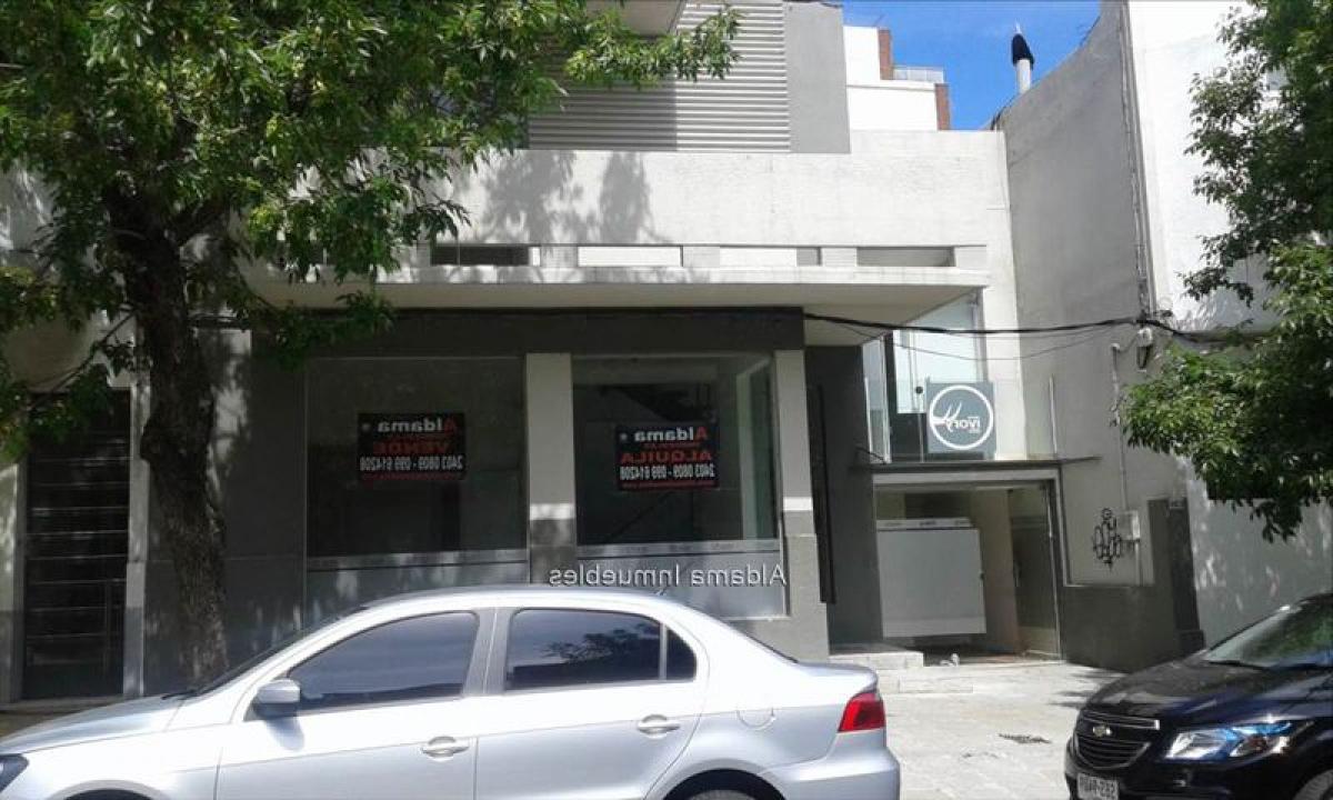  Commercial property in Montevideo, Uruguay No. 13256
