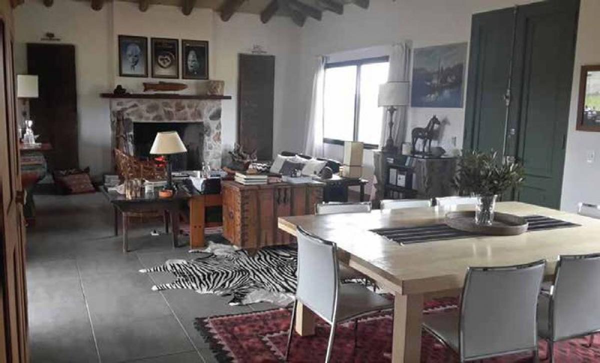  Farm in Maldonado, Uruguay No. 15973