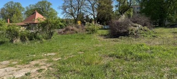  قطعة أرض في Mecklenburgische Seenplatte, Germany رقم 206360 4