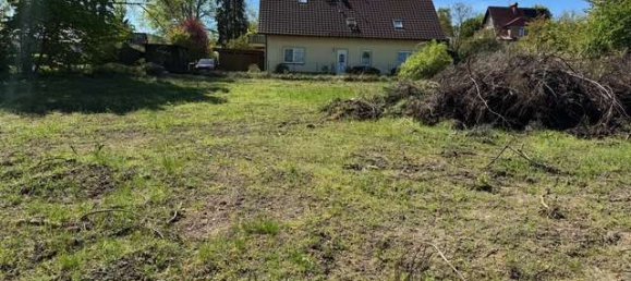  قطعة أرض في Mecklenburgische Seenplatte, Germany رقم 206360 3