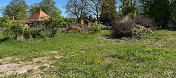  قطعة أرض في Mecklenburgische Seenplatte, Germany رقم 206360 6