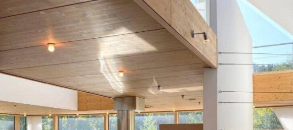 7 rooms House in Kirchstetten, Austria No. 251437 11