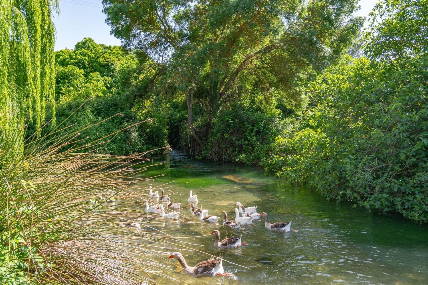 6 bedrooms House in Loja, Spain No. 261517