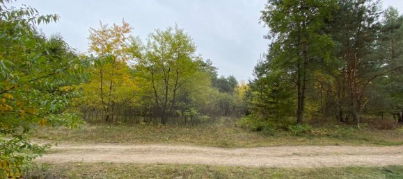 Terreno em Oder-Spree, Germany N.º 21366 4