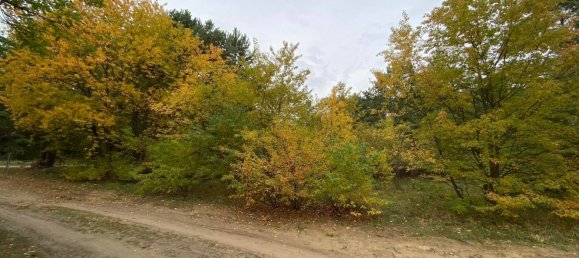 Terreno em Oder-Spree, Germany N.º 21366 2