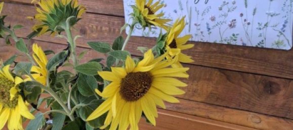  قطعة أرض في Leipzig, Germany رقم 258192 3