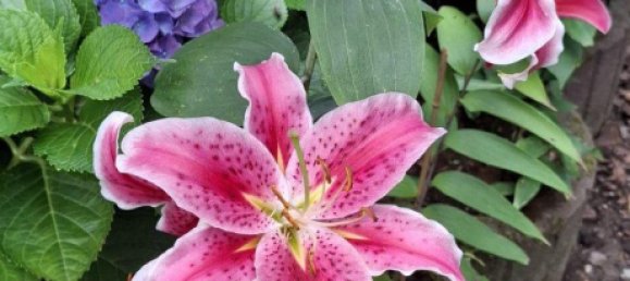  قطعة أرض في Leipzig, Germany رقم 258192 15